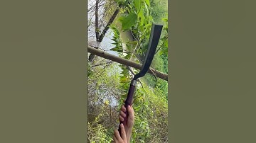 Con rựa phát rẫy chặt cây này chặt cây ngọt lịm luôn