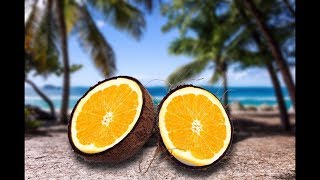 The Leomnut Beach