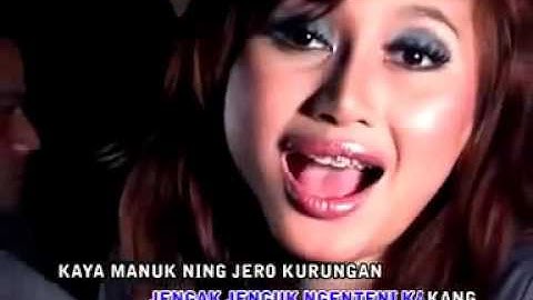 MOLAK MALIK hana elfariza @ lagu tarling