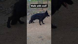 My Best Friend: Quality Time with My GSD Puppy #PuppyBonding#DogTraining #LoyalCompanion#dogcoach