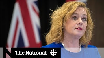 Calls for Ontario MPP to step down after allegedly swearing at Ottawa Senators owner