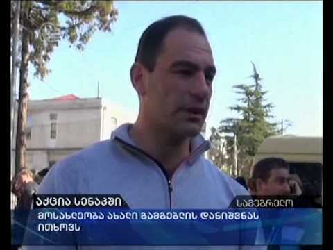 აქცია სენაკში