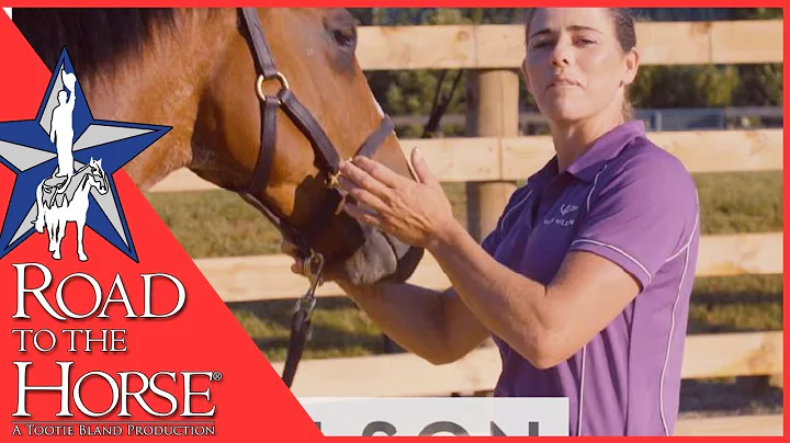 Road to the Horse 2019 - Competitor Vicki Wilson