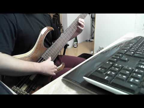 この地球の平和を本気で願ってるんだよ!　bass cover