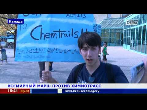 Акции протеста в борьбе с химиотрассами прошли по всему миру
