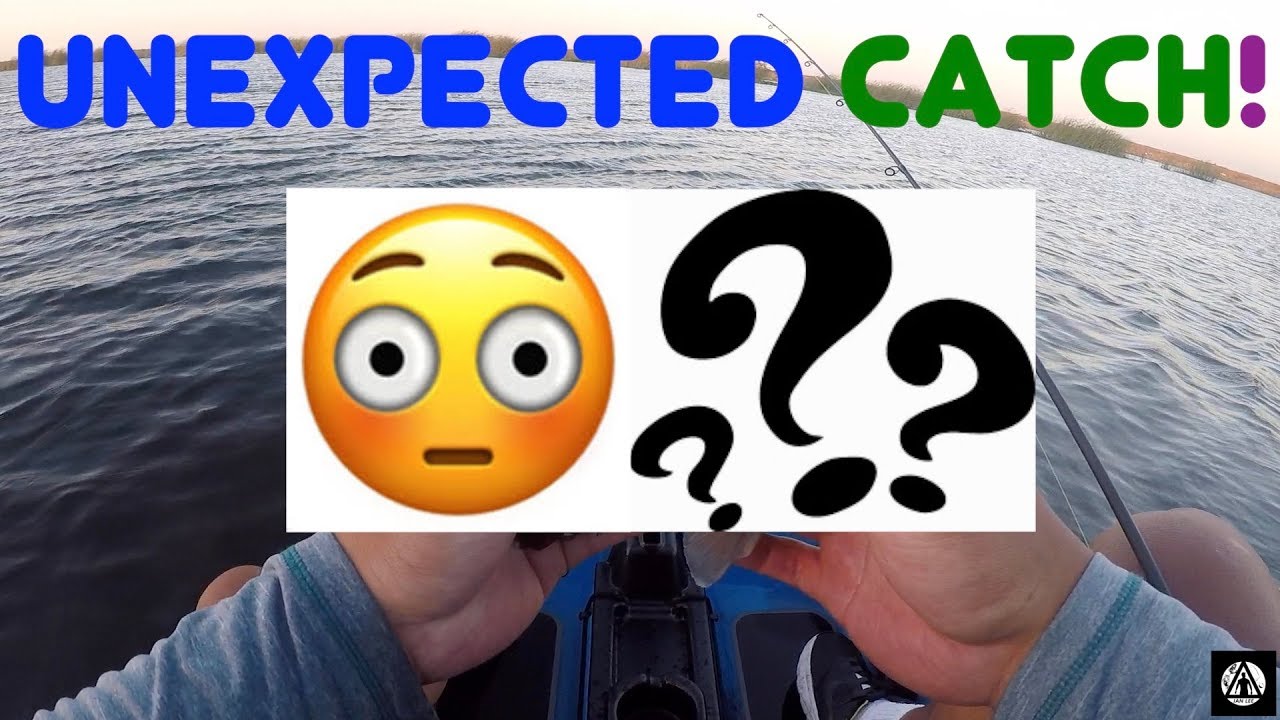 I Didn't Expect to Catch THIS Species of Fish! #unexpectedcatch - YouTube