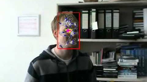 Face tracking with scalable gradient features