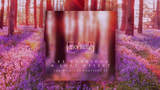 Lost Desert & Lee Burridge - Miracle De Paris Resimi