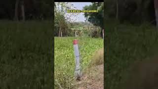 BT Dambar Road BIT||Water Facility||Agriculture land sale||20 Guntas #yt #farm #agriculture #shorts