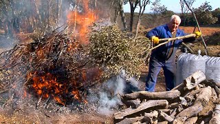 Синицы. Древнее искусство превращения дубовой древесины в древесный уголь в горах.