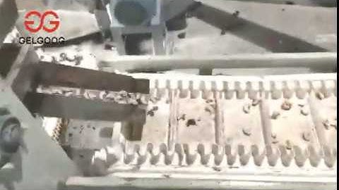 Automatic Kaju Cashew Nut Shelling Processing Line 5000KG Per Day Whatsapp 008613015518550