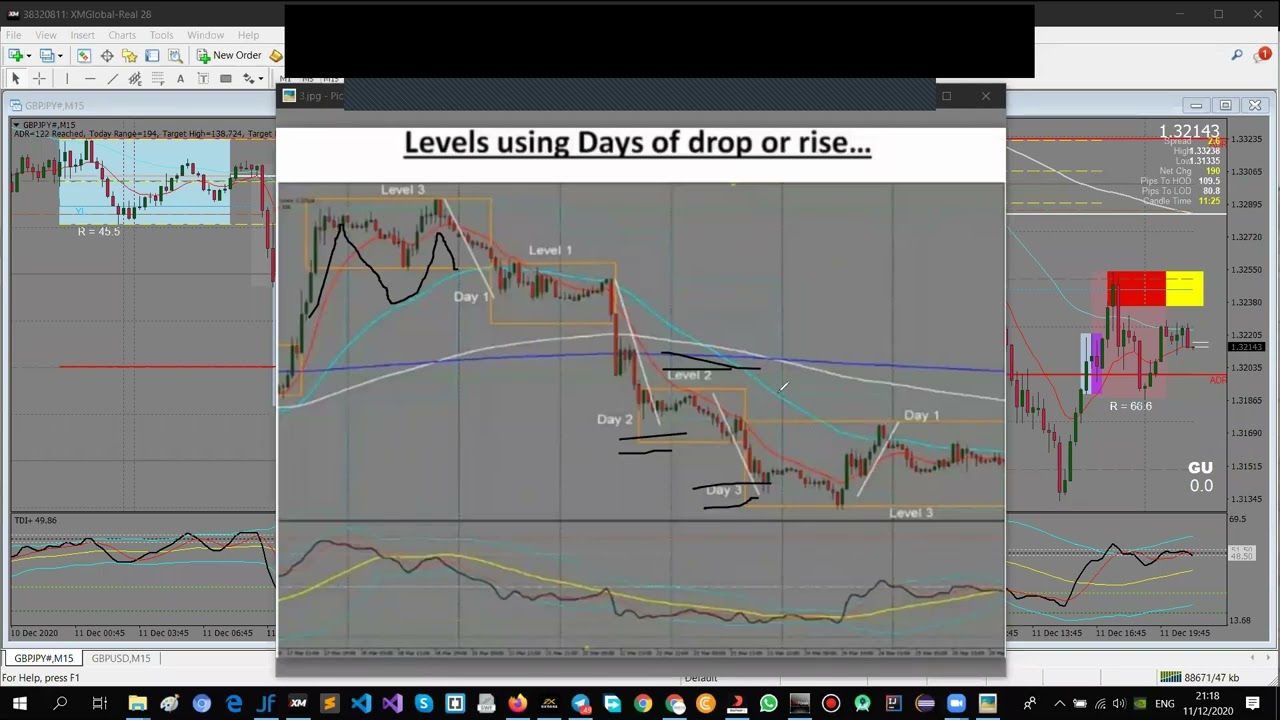 The best forex trading course for beginners financial market efficiency