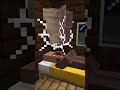 【マイクラ】海外で死ぬほどバズってる村人ドッキリチャレンジやったった！【minecraft】 #shorts #short #minecraft #マイクラ #music