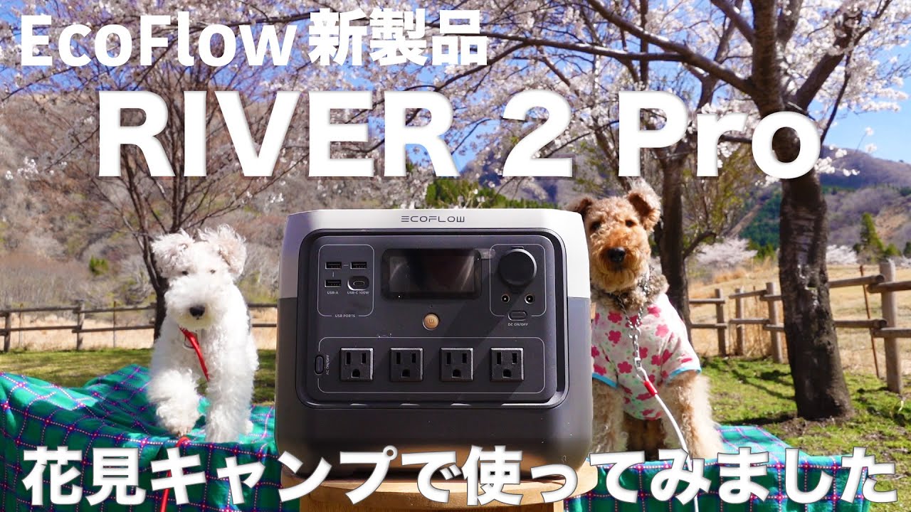 EcoFlowの新製品RIVER 2 Proは車中泊・キャンプ旅での使用感はどんな