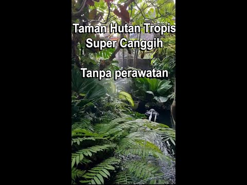 Taman Tropis Bali Gaya Hutan Pakis yang canggih, taman tanpa perawatan - penyiraman otomatis google