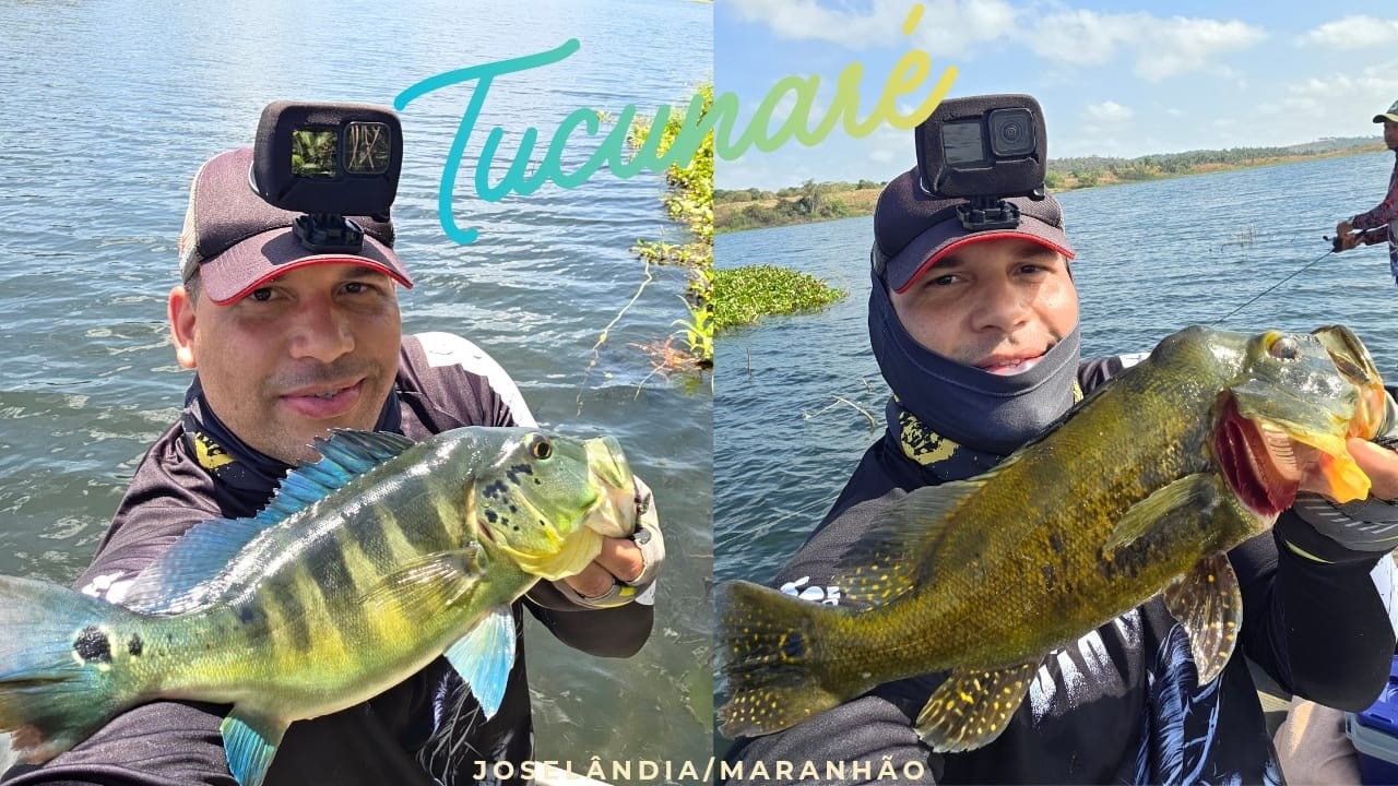 PESCARIA DE TUCUNARÉ AZUL, AMARELO E MUITO MAISSSS…