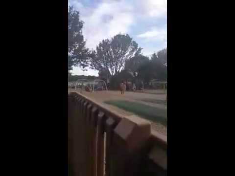 joe mixon Theo on a zip line