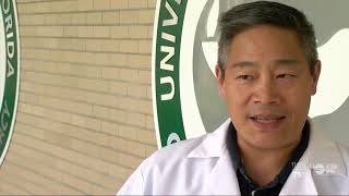 Old drugs used to treat malaria, flu, ebola showing promise against coronavirus