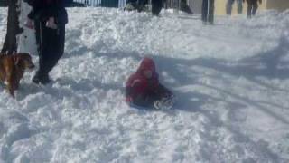 Mitchells 1st sled ride.MOV