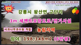 강릉시 왕산면 고단리 양호한 도로망과 전기시설된 대형 임야 6만평 (협의가능)