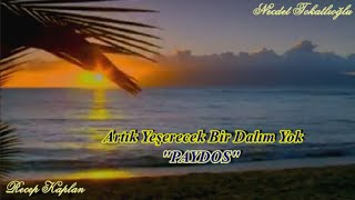 Artık Yeşerecek Bir Dalım Yok – Paydos - Necdet Tokatlıoğlu - Video: Recep Kaplan