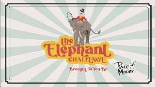How to Start in Real Estate with NOTHING!!! | Elephant Challenge Day 1 (11/2)