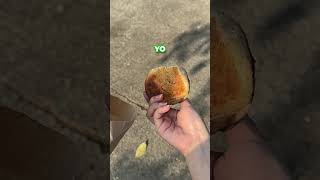 Malunggay Pandesal #memes #fyp #philippines #vtuber