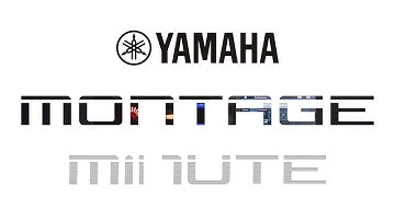 MONTAGE Minute | Firmware Update OS Version  1.60