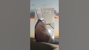أياما معدودات . القارئ أمين عرفه