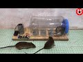 Top 10 Electric Mouse Trap Water  🐭 Good Idea Electric Mouse Trap 🐀 10 piège à souris électrique #32