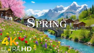 Fresh Air of Spring • Switzerland 4K Alpine Landscape | Relaxing Cinematic Nature