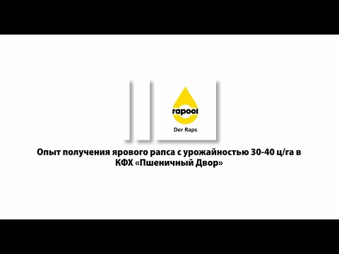 Опыт получения ярового