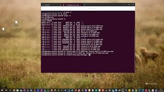 Installing a New Linux Kernel (Ubuntu)