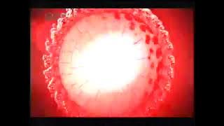 Download lagu RCTI 1706 Djarum Black Mesin 21 46