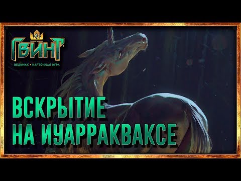 Видео: Гвинт - Вскрытие на Иуарракваксе (Gwent 0.9.22)