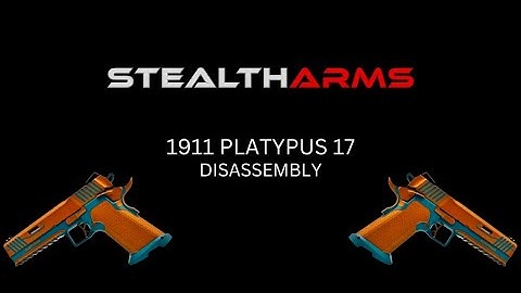 Stealth Arms 1911 Platypus 17 Disassembly