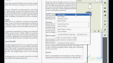 Adobe Indesign CS4 (TAMIL) TEXT==Autoflow-004.flv