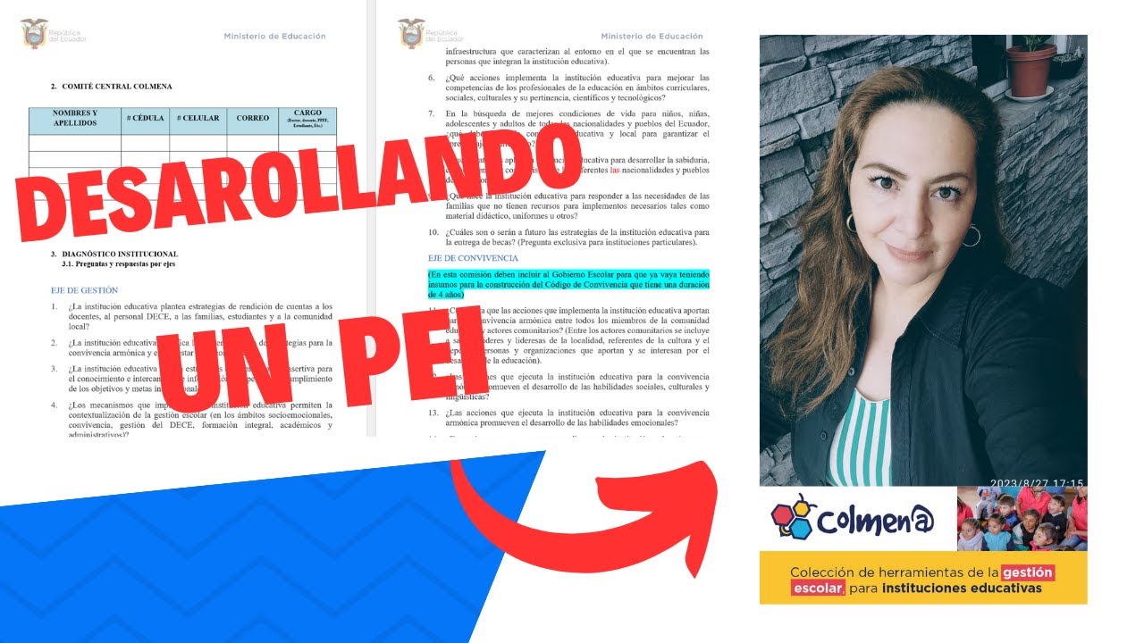 DESAROLLANDO UN PEI DESDE CERO 2023