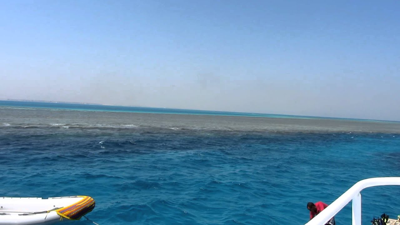 El Gouna diving 2011 3 YouTube