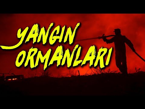 Video: Yangınlar Neden Oluşur?