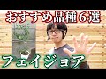 【果樹】フェイジョア、おすすめ品種6選！【feijoa】