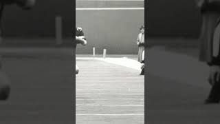 Do You Remember Jack Tatum's Hit On Darryl Stingley