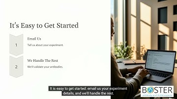 Eliminate Risk: Validate Antibodies in Your Custom Experiment Before You Buy