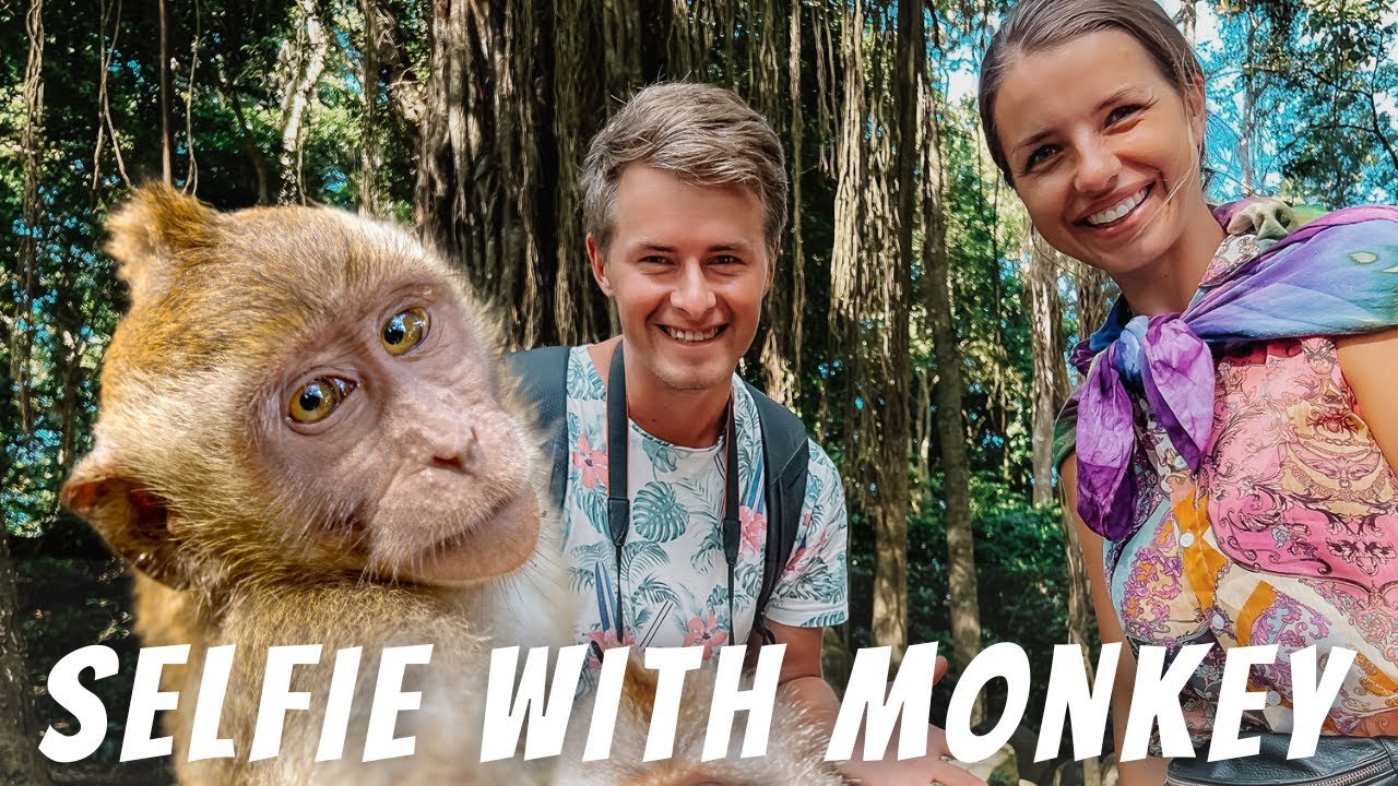 Monkey forest sanctuary Ubud Bali