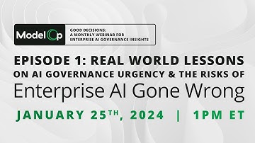 Episode 1: Real World Lessons on AI Governance Urgency & Risks of AI Gone Wrong