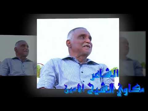 مسدار ود مدني للشاعر مكاوي الشيخ الامين