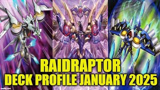 RAIDRAPTOR DECK PROFILE (JANUARY 2025) YU-GI-OH!