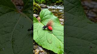CDC red ant dry fly pattern