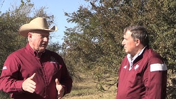 Ron Gill - Beef & Cattle Literacy - Importance of BQA pertaining to the safety of health products