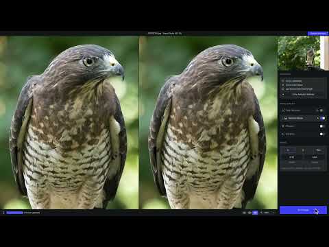 Using Topaz Photo AI with your non-RAW images in a standalone workflow